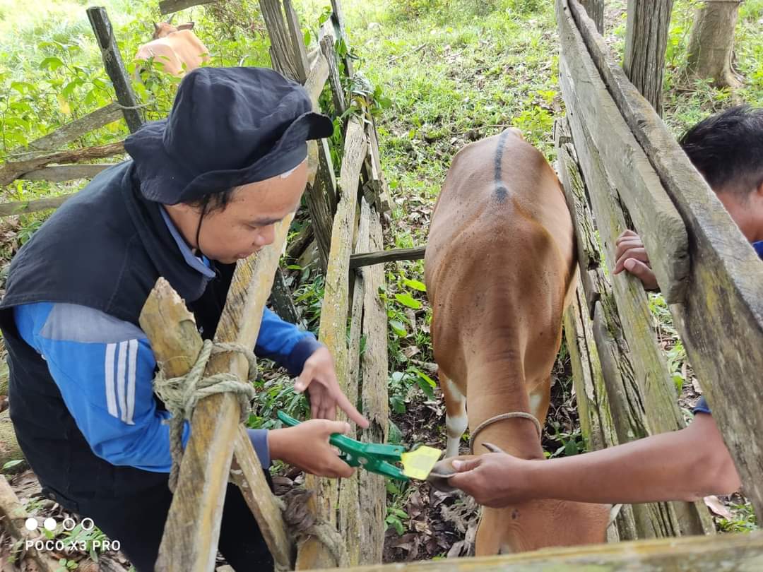 BERITA GAMBAR SIMPATIK