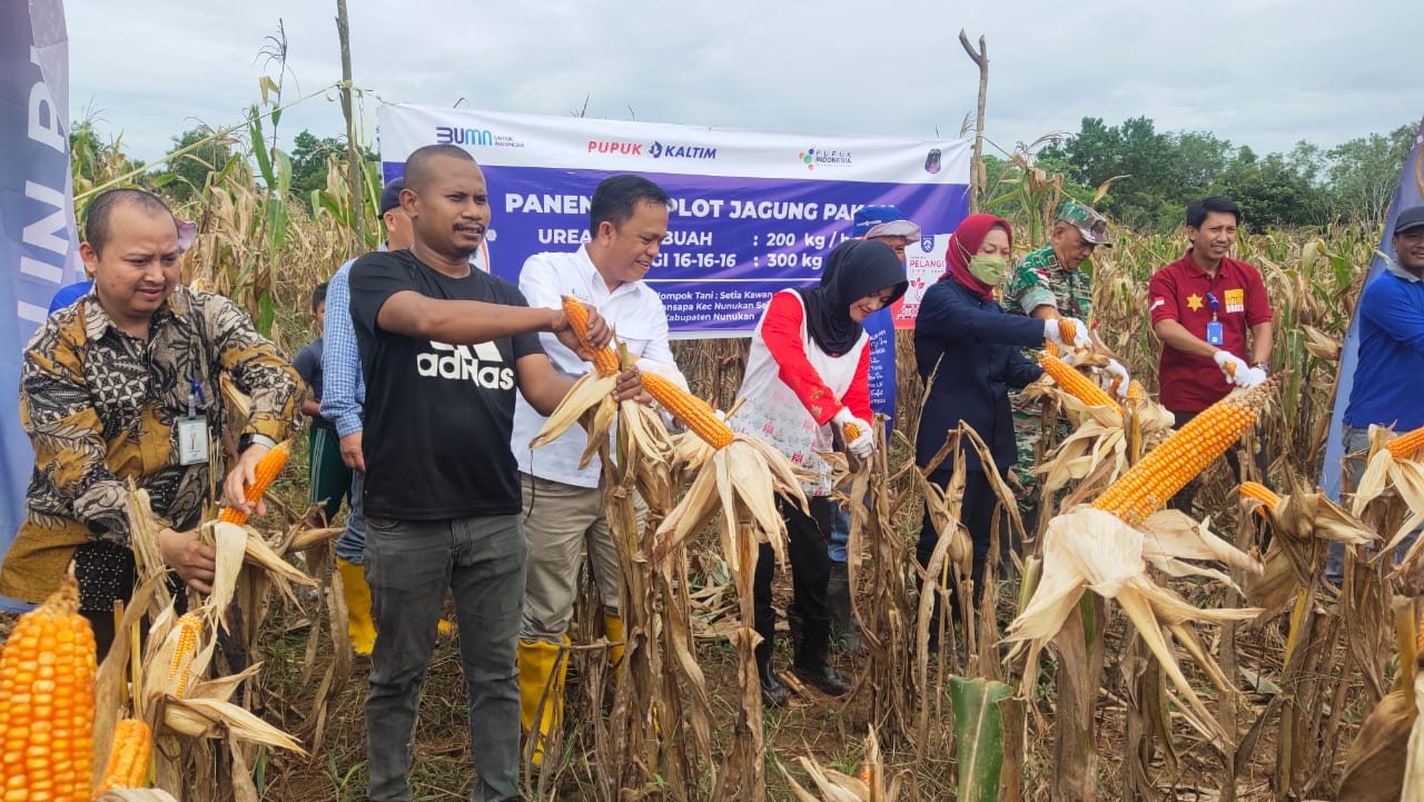 BERITA GAMBAR SIMPATIK