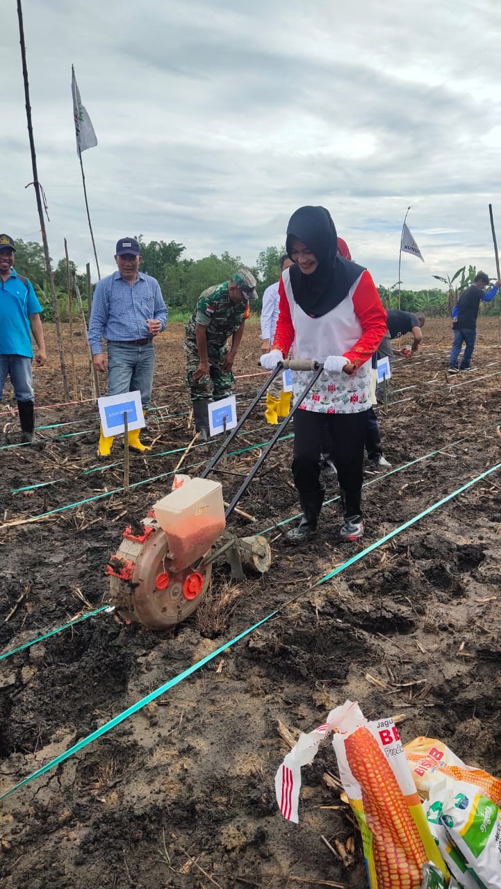 BERITA GAMBAR SIMPATIK